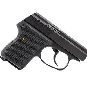 L.W. Seecamp LWS25BLKW 7+1 2" .25 ACP Black