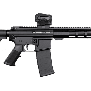 DPMS SHORTACLE 300BLK PISTOL 10.5" BBL, 9.5" MLOK RAIL, CAR15 BRACE 1-30RD MAG W/ VORTX SPARC
