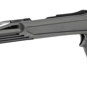 ADAPT AT02030  ARKUS RUGER 10/22 RIFLE STOCK BLK