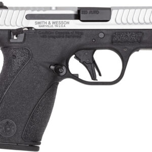 S&W BG2.0 380 12R 2TN TS NS DE