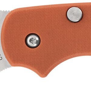 SPY C123GPBOR      SAGE 6 BURNT ORANGE ALZHEIMER'S