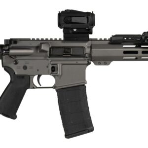 Shark Coast Tactical SCC06889GRYN300-P Grey Night Bundle 300 Blackout 30+1 10" Threaded Barrel, Aluminum Receiver w/Picatinny Rail, M-LOK Handguard, Polymer SB Tactical SBA3 Brace, Streamlight ProTac