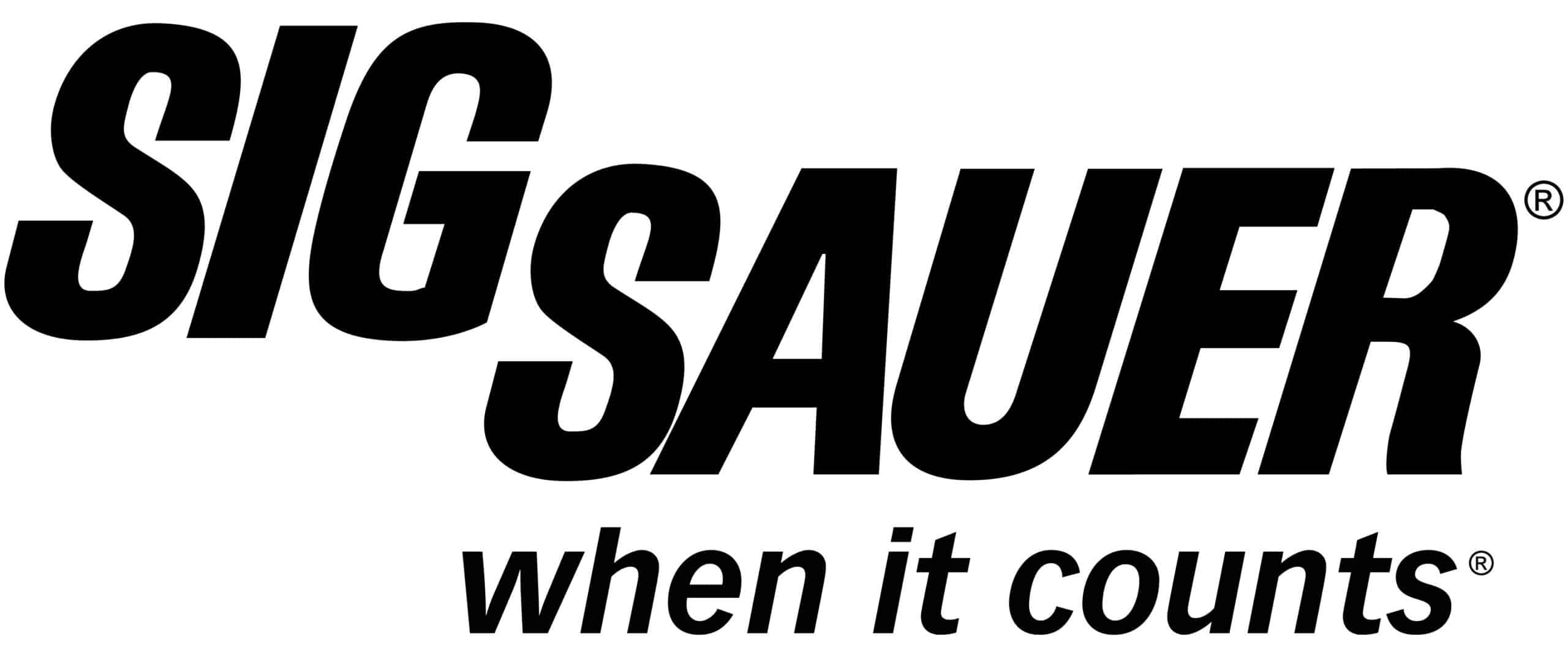 SIG SAUER MAGAZINE P365X 380ACP 10RD