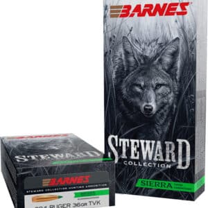 BARNES STEWARD 204 RUGER 36GR - TIPPED VARMINTKING 20RD 10BX/C