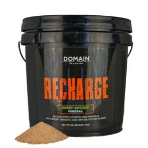 Domain Recharge Berry Infused Deer Mineral 20lb