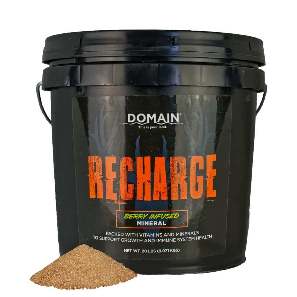 Domain Recharge Berry Infused Deer Mineral 20lb